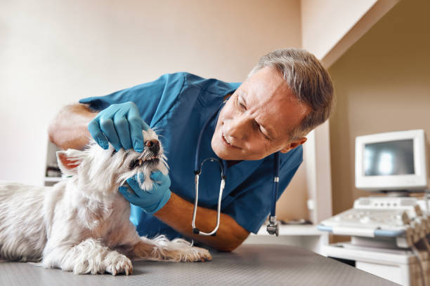 Best Emergency Dentist for Knocked-Out Tooth in Waskom, TX